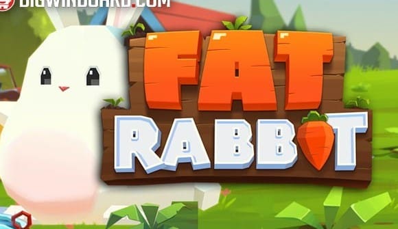 Fat Rabbit